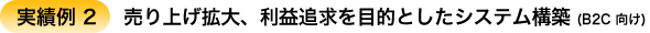 実績例 2 : 売上拡大、利益追求を目的としたシステム構築 (B2C 向け)